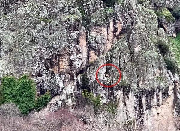 <p>'HAYDİ' uygulaması harekete geçirdi </p>

<p> </p>

<p>Ormanlık alana terk edilen hayvanların ihbarını, İçişleri Bakanlığı tarafından geliştirilen Hayvan Durum İzleme Aplikasyonu (HAYDİ) üzerinden alan jandarma, bu sayede hayvanlara yardım eli uzattı.</p>
