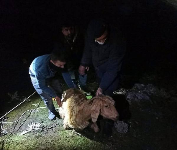 <p>ülkeye sokma vb. adli veya idari işlem yapılmasını gerektiren konularda vatandaşlar tarafından kolluk kuvvetlerine anlık olarak ihbarda bulunabileceği uygulama olan HAYDİ Mobil uygulamasının tüm vatandaşlar tarafından cep telefonlarına indirilebileceği bildirildi.</p>