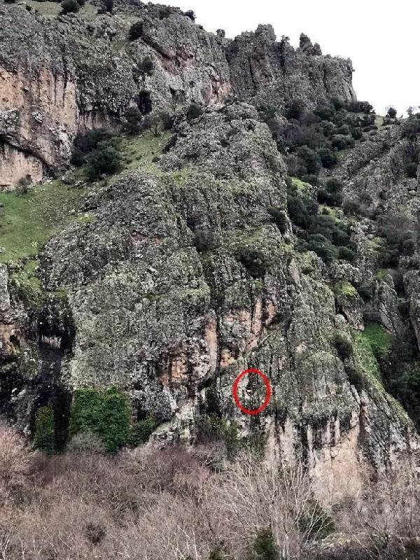 <p>Kaderine terk edilen ve yiyecek içecek bulmakta sıkıntı çeken, ormanlık alana terk edilmiş hayvanlara, ekipler tarafından mama ve su verildi. Beslenmesi yapılan hayvanların daha sonra ekipler tarafından veteriner hekimlere götürülerek kontrol ve tedavileri yapıldı.</p>