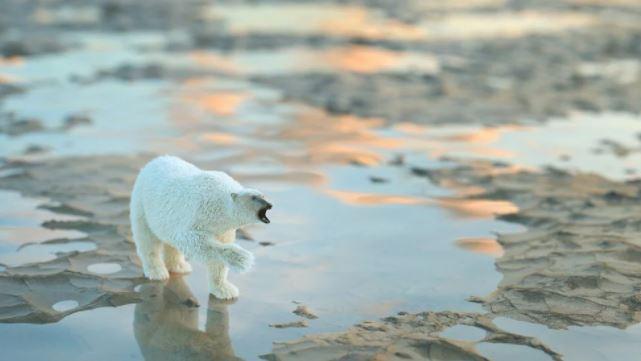 Bilim insanları Dünya’nın Kara Kutusu'nu inşa etmeye başladı