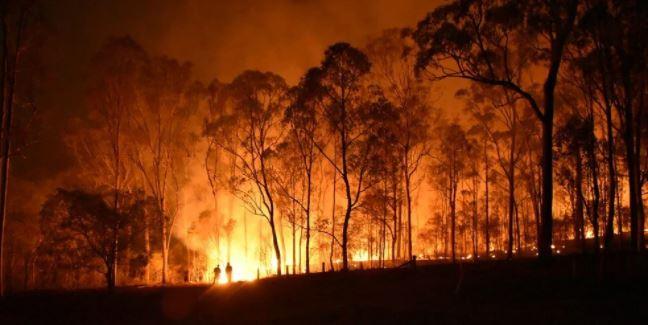 Bilim insanları Dünya’nın Kara Kutusu'nu inşa etmeye başladı