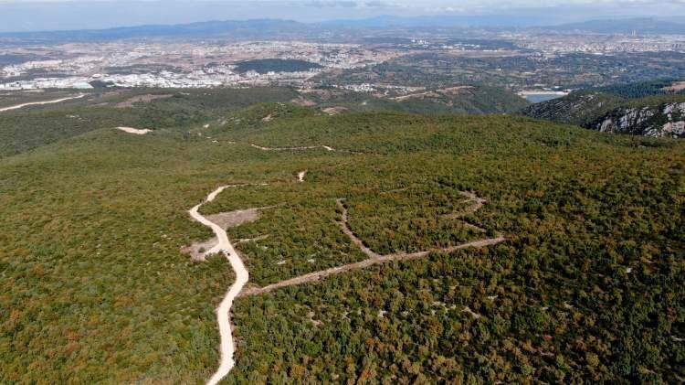 <p>2021 yılı i&ccedil;erisinde, 6 bin 991 sokak hayvanını mevcut tesislerde ağırladıklarını belirten &Ccedil;etiner, &ldquo;Bunların bin 879&rsquo;u kısırlaştırma, 2 bin 294 cerrahi operasyon 2 bin 251&rsquo;de dahili m&uuml;dahaleleri yapıldı.</p>
