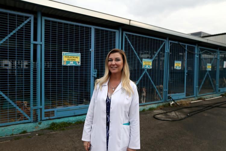 <p>Burası ge&ccedil;ici bakım ve tedavi merkezi. Kısırlaştırmalar ve tedaviler yapılıyor alındıkları yere bırakılıyor. Zaten sağlıklı hayvanların burada durması doğru değil. Buralar bulaş oranı y&uuml;ksek yerlerdir. Buna bizler de başkanımız da sıcak bakmıyor.</p>
