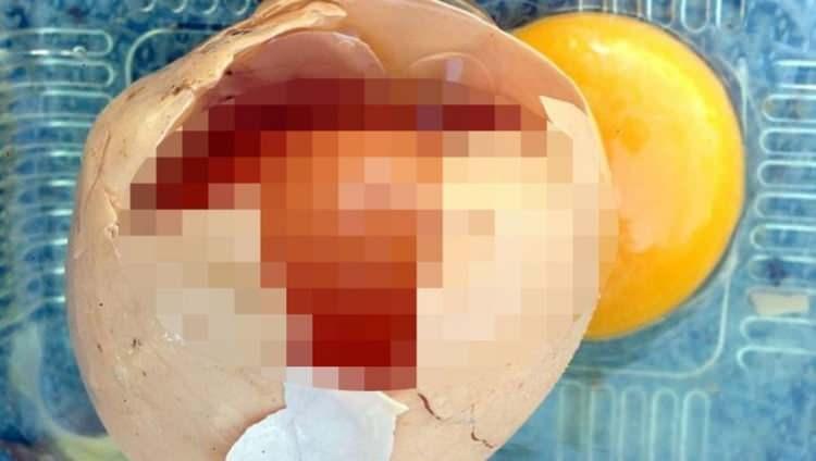 <p><strong>Kırmızı ak karşısında şakına dönen Sarangdhar olayın ardından hemen Facebook'a koşarak başına gelen durumun nedenini takipçilerine sordu. Gönderiye kısa süre içerisinde çok sayıda yorum geldi. Kullanıcıları, yumurtadan akan kırmızılığa kendilerine göre nedenler bulmaya çalıştı.</strong></p>
