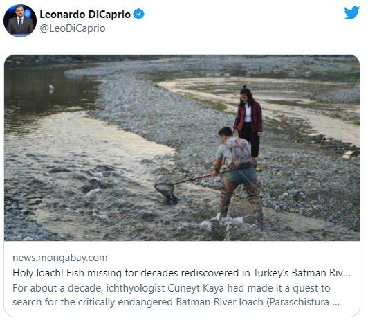 <p>Çevre ve iklim konusunda yaptığı bağışlarla bilinen Leonardo DiCaprio, 7 dilde yayın yapan Mongabay gazetesinin, dünyanın en çok aranan 10 balık türünden biri olduğu belirtilen 'Batman Bantlı Çöpçü Balığı’nın (Paraschistura chrysicristinae) 47 yıl aradan sonra Batman’ın Sason Çayı'nda görüldüğü haberini takipçileriyle paylaştı.</p>
<p> </p>