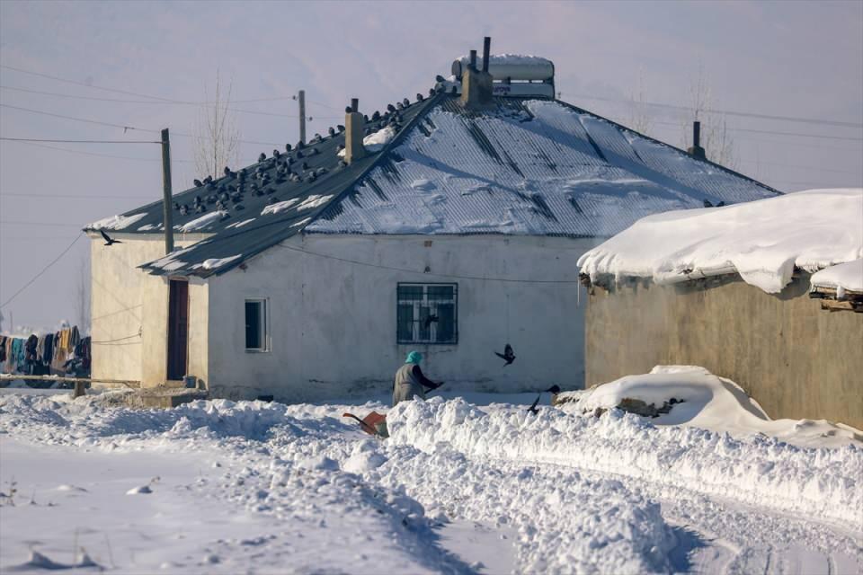 <p>Çeşmelerin donduğu, ağaçlarda kırağı, evlerin saçaklarında metrelerce buz sarkıtlarının oluştuğu 30 haneli köyde, hayvanların soğuktan etkilenmemesi için ahırlar da sobalarla ısıtılıyor.</p>

<p> </p>
