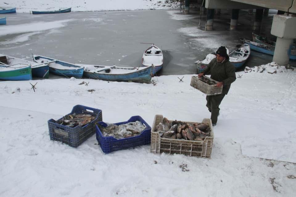 <p>Eşrefoğlu Köprüsü altındaki limanlarına gelen bazı balıkçılar, bir gün önce avladıkları ve gece teknede beklettikleri balıkları kasalarla kıyıya taşıyarak alıcılara teslim etti. </p>

<p> </p>
