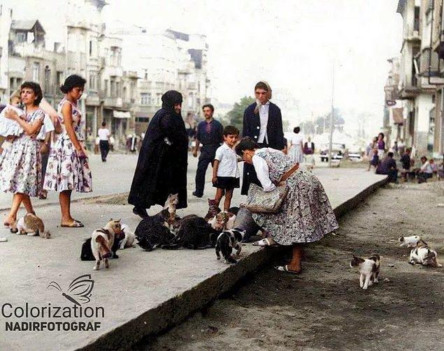 <p>Şişli'de kedi besleyen insanlar, İstanbul, 1952.</p>
