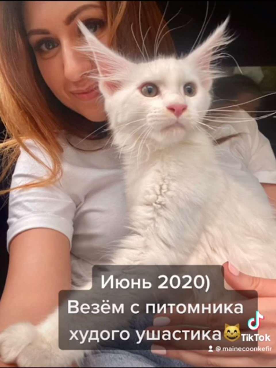<p><strong>"HERKES ONU KÖPEK ZANNEDİYOR"</strong><br />
<br />
Her zaman okşanmak istiyor. Eve yabancılar geldiğinde herkes onu önce bir köpek zannediyor. Ama eve arkadaşlar ve tanıdıklar geldiğinde, tüm dikkat onun üzerinde ve seve seve kendini sevdiriyor.”</p>