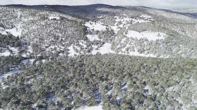 <p>Sakarya, bölgenin turizm potansiyelinin daha da artacağını dile getirerek, "Buradaki lavanta turizmi yaz aylarında yoğun oluyor. Bu noktada İdris köyümüzde yeni sezonda farklı projeler hazırlıyoruz. Turistlerin ihtiyaçlarını karşılayabilecekleri mekanlar ile çay bahçeleri oluşturacağız. Yıl sonunda hedefimiz 50 bin ziyaretçiyi ağırlamak." diye konuştu.</p>
