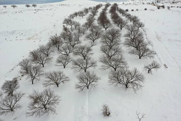 <p><strong>Iğdır'daki beyaza bürünen kayısı bahçeleri drone ile görüntülendi</strong></p>
<p>Iğdır'da etkili olan kar yağışıyla kayısı bahçeleri beyaza büründü.</p>
<p> </p>
<p> </p>