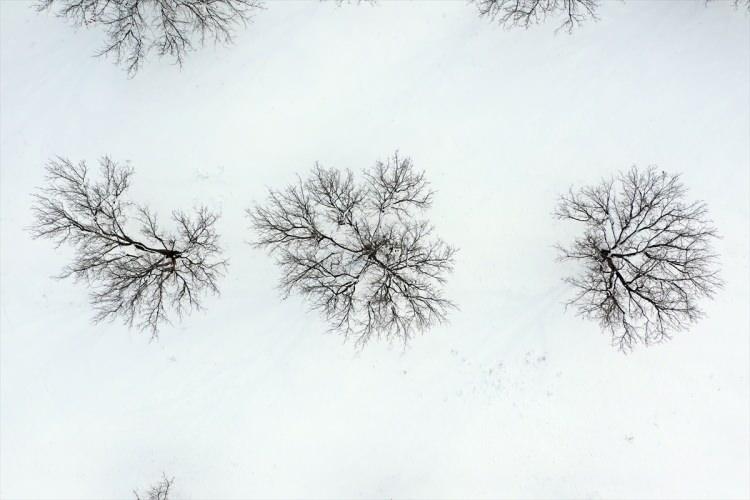 <p>Kayısı bahçeleri, Anadolu Ajansı muhabirince drone ile görüntülendi.</p>