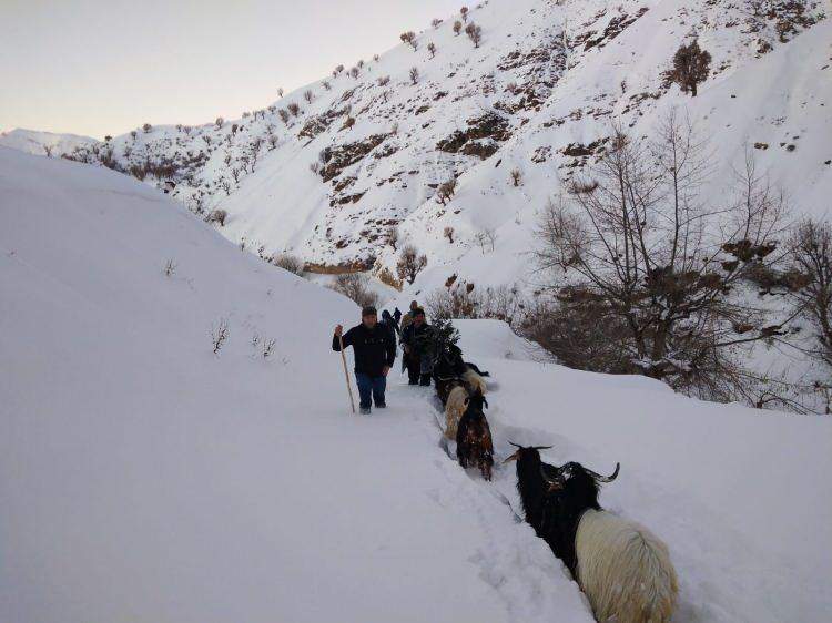 <p>Batman’ın Sason ilçesinde 3 gündür arama çalışmalarını sürdüren jandarma ve güvenlik köy korucuları ekipleri, köylünün 22 keçisini bulup teslim etti.</p>
