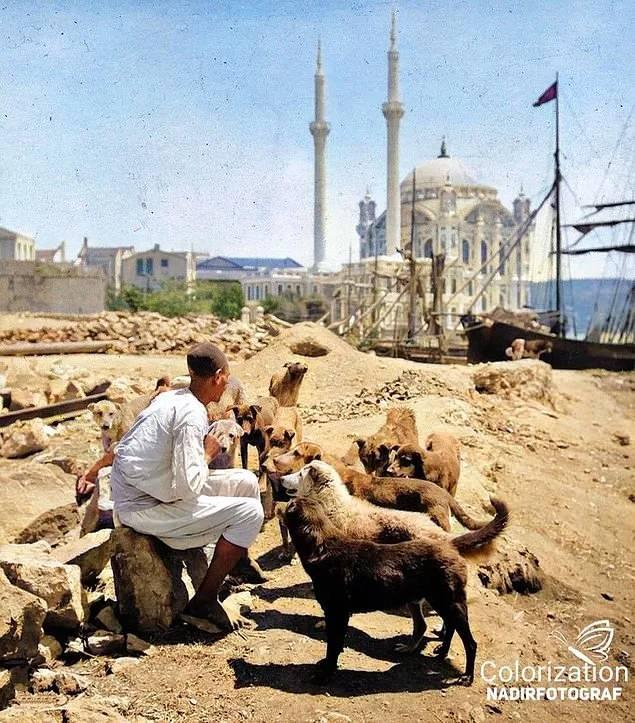 <p>Sokak köpeklerini besleyen adam, İstanbul, 1910.</p>