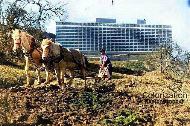 <p>Tarlasını süren bir adam ve Hilton Oteli, İstanbul, 1960.</p>