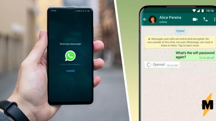 <p>Sizler de WhatsApp Desktop Beta programına katılarak, mesajlaşma uygulamasının yeni özelliklerini bilgisayarda deneyebilirsiniz. Betaya erişim sağlamak için Windows veya macOS sürümünden birini yüklemeniz gerekiyor. Ardından telefonunuzda WhatsApp ayarlarına girip Bağlı cihazlar menüsündeki QR kodu WhatsApp’ın masaüstü uygulamasına okutun</p>
