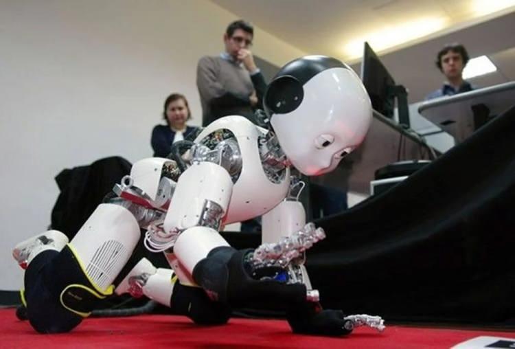 <p>Diğer taraftan, mühendisler iCub’un 15 yıldan uzun süredir geliştirildiğini ve  adını  Rudyard Kipling'in The Jungle Book adlı eserindeki insan yavrusundan aldığını söyledi.</p>

<p>iCub'ın piyasaya ne zaman sürülebileceğine ilişkin net bir tarih verilmezken, çok yakında görevlerine başlayabileceği aktarıldı.</p>
