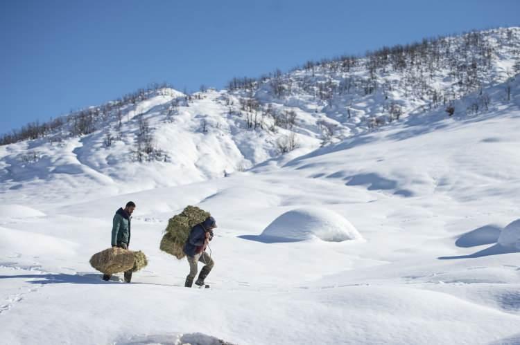 <p>Sarp dağların arasında kurulu 1500 rakımlı, 6 bin 533 nüfuslu Ovacık ilçesinde, kar kalınlığının 1,5 metreye ulaşması en çok besicilerin yaşamını zorlaştırıyor.</p>
