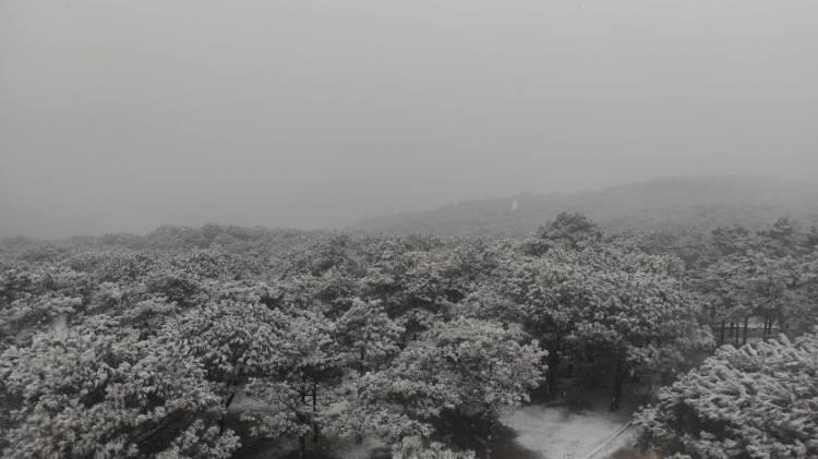 <p><strong>ORDU</strong></p>

<p>Ordu'nun bazı ilçelerinde kar yağışı nedeniyle eğitime yarın ara verildiği bildirildi.</p>

<p>Valilikten yapılan yazılı açıklamada, il genelinde devam eden yoğun kar yağışı, buzlanma ve olumsuz hava koşulları nedeniyle bazı ilçelerde eğitime yarın da ara verildiği belirtildi.</p>

<p>Açıklamada, şu ifadelere yer verildi:</p>

<p>"Akkuş, Aybastı, Çamaş, Çatalpınar, Çaybaşı, Gölköy, Gülyalı, Gürgentepe, İkizce, Kabadüz, Kabataş, Korgan, Kumru, Mesudiye, Ulubey ilçelerimizdeki okulların tamamında, Fatsa ve Ünye ilçelerimizde, ilçe merkezi haricindeki okullar ile taşımalı eğitim sistemiyle gelen öğrenciler için, Perşembe ilçemizde taşımalı eğitim sistemiyle gelen öğrenciler için, Altınordu ilçemizde ise taşımalı eğitim sistemiyle gelen öğrenciler için ve Gökömer, Cumhuriyet Gerce ve Yağızlı mahallelerindeki okullarda, 20 Ocak 2022 Perşembe günü bir gün süreyle eğitime ara verilmiştir."</p>

<p>Açıklamada, belirtilen ilçelerdeki kamu kurumlarında görevli engelli ve hamile personelin de yarın idari izinli sayılacağı kaydedildi.</p>
