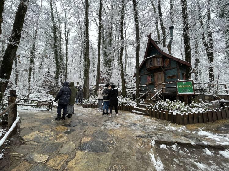 <p>"Ormanya, kar örtüsüyle büyüleyici görüntüye sahip"</p>
<p>Kocaeli Büyükşehir Belediyesi Ormanya Doğal Yaşam Parkı Doğal Yaşam Alanları Şefi Önder Alioğlu, AA muhabirine, Ormanya'nın yarıyıl tatili dolayısıyla 2 hafta boyunca açık olacağını söyledi.</p>