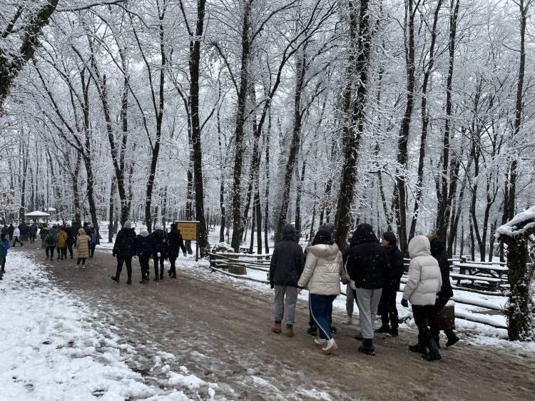 <p>Alioğlu, Ormanya'nın her mevsim çok ziyaretçi ağırlamasından büyük mutluluk duyduklarını dile getirerek, şunları kaydetti: "Ormanya, doğal yaşam alanı, çocuk hayvanat bahçesi, kamp alanı, yine orman içindeki doğa parkuruyla çok farklı deneyimler sunuyor. </p>
