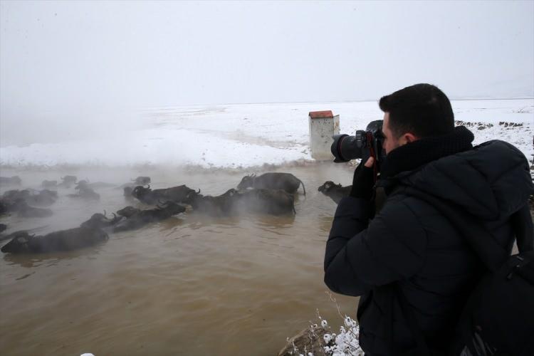 <p>Fotoğraf tutkunları da bölgede etkisini sürdüren soğuk hava nedeniyle buharlaşmanın yoğun yaşandığı 40 derece sıcaklıktaki kaplıcada yıkanan manda ve atları görüntülemeye çalışıyor.<br />
</p>