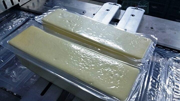 <p><span style="color:#0000CD"><strong>Peynir, süt proteini kazeinin peynir mayası ve peynir kültürü ile pıhtılaştırılması, ve bu pıhtıdan peynir suyunun ayrılmasıyla elde edilen fermente bir süt ürünüdür.</strong></span></p>
