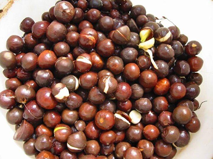 <p>Zeytinyağı kalitesindeki yağın, kozmetik sektörü ve yemeklerde kullanılması için de çalışma başlattı.</p>
