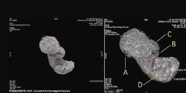 <p>2021 Nisan’da başlatılan ve Journal of Archaeological Science adlı bilimsel dergide geçtiğimiz günlerde sonuçları yayımlanan çalışmada “Gizemli Kadın” olarak adlandırılan bir mumya CT ve X-ray taramalarına tutularak karnındaki fetüs ortaya çıkarıldı. </p>

