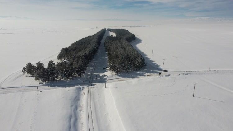 <p>Kars’ta tarihi Benliahmet İstasyonu beyazlar içerisindeki çam ağaçlarıyla görenleri adeta büyülüyor. Benliahmet İstasyonu aynı zamanda da 'bozkırın ortasındaki vaha' olarak biliniyor.</p>

<p> </p>
