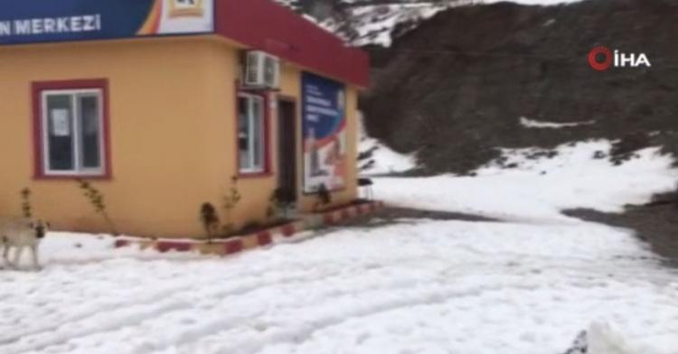 <p>Pitbullun, Alman kurdunu parçaladığı anları cep telefonu ile kaydeden ve paylaşılan bu görüntülere hayvan severler büyük tepki gösterdi. </p>
