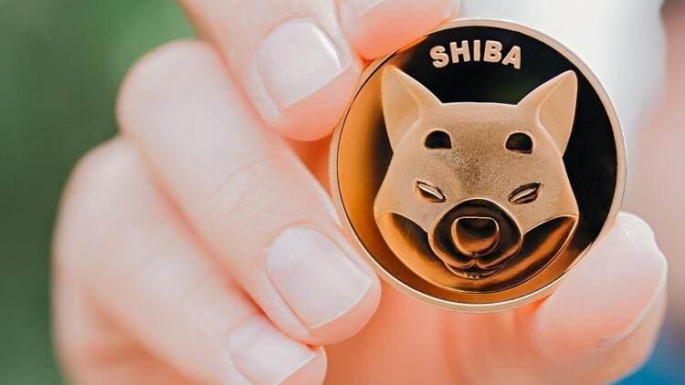 <p>Dogecoin ve Shiba Inu’de de düşüş sürüyor. Dogecoin yüzde 4’e yakın düşüşle 0,1409 dolar, Shiba Inu ise yüzde 6’ya yakın kayıpla 0.00002043 dolardan alıcı buluyor.</p>

<p> </p>
