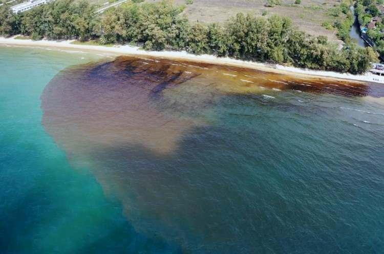 <p>Rayong Valisi Channa Iamsaeng, yaptığı açıklamada, "afet bölgesi" ilan ettiği plajın yüzücüler ve ticari faaliyetler için kapatıldığını duyurdu.</p>
