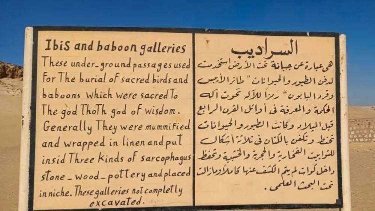 <p>Mısır Turizm Bakanlığının resmi sitesinde yer alan bilgiye göre, Kahire'nin güneyindeki Minya kentinin Tuna el-Cebel bölgesinde ibis kuşu ve babunların mumyalandıktan sonra gömülmesi için kayaya oyulmuş yeraltı mezarları bulunuyor.</p>

