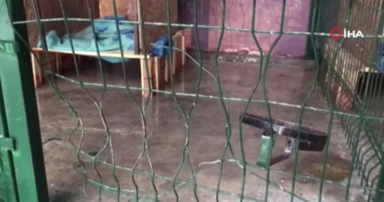 <p> Şahısların köpekleri kışkırttığı ve pitbullun saldırmasından sonra görüntü kaydının yapıldığını vurguladı.</p>
