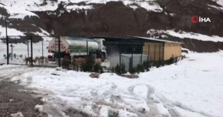 <p>Konunun sosyal medyaya düşmesinin ardından Kahta Belediyesi güvenlik kamera görüntülerini gazetecilerle paylaştı.</p>
