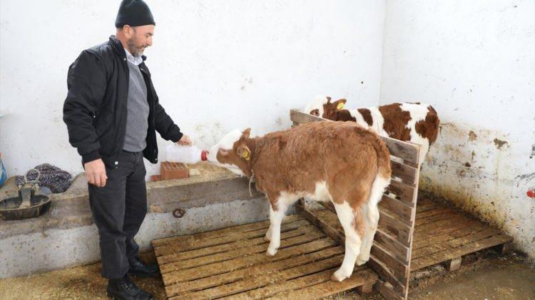 <p>O günleri bir daha yaşamamak için dua eden Aldaş, "Evlerinin enkazı altında kalan komşularımız vardı, iki komşumuzu enkazdan çıkararak hastaneye gönderdik. Çok kötü günlerdi, Allah kimsenin başına vermesin. O gece sabaha kadar bahçemizde ateş yakarak bekledik." dedi.<br />
</p>