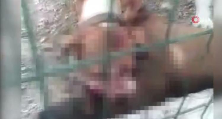 <p>Köpeği bırakmayan pitbull, diğer köpeği boğarak öldürdü. Yaşanan bu olay güvenlik kameraları tarafından kaydedildi.</p>
