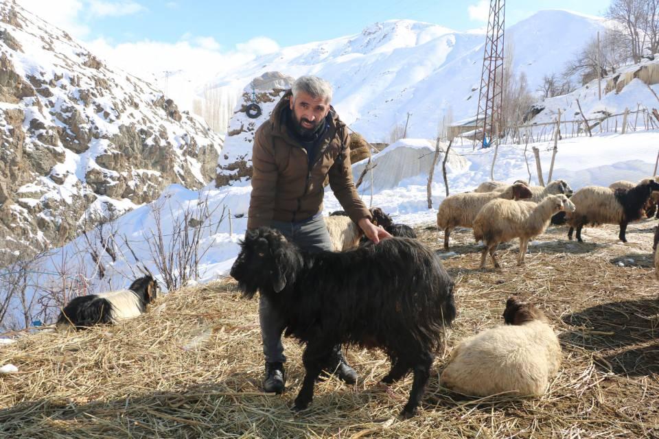 <p>Hayvancılık alanında bu durumlarda hızlı sonuç alabileceğimiz bir alt yapı olmadığı için elimiz kolumuz bağlı kalıyor. </p>
