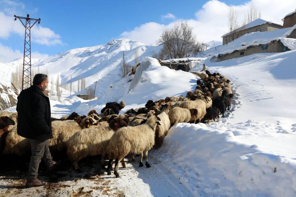 <p>Tarım müdürlüklerimiz ve özel veteriner hekimler olarak çiftçilerimize elimizden gelen bütün gayreti sarf ediyoruz" dedi.</p>