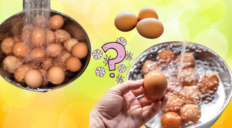 <p><span style="color:#0000CD"><strong>En temel gıdalardan biri olan yumurta içerdiği protein bakımından en sağlıklı yiyeceklerden arasında yer alıyor. Hem doyurucu hem de lezzetli olan yumurtayı satın alırken yıkanıp yıkanmaması tartışma konusu haline gelmiştir. Peki yumurta yıkanmamalı mı yıkanmamalı mı? İşte çok merak edilen sorunun cevabı </strong></span></p>
