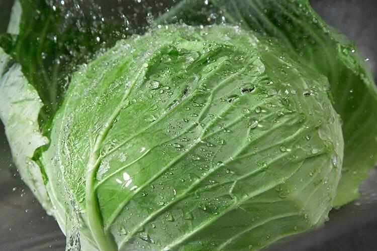 <p><span style="color:#800080"><strong>Lahana, karnabahar, göbek salata gibi çok kıvrımlı olan sebzeleri yapraklarına tek tek ayırıp dikkali bir şekilde yıkamak gerekiyor. Çünkü kapalı ve çok yapraklı olan sebzelerin içinde bazı canlılara rastlamanız mümkün.</strong></span></p>