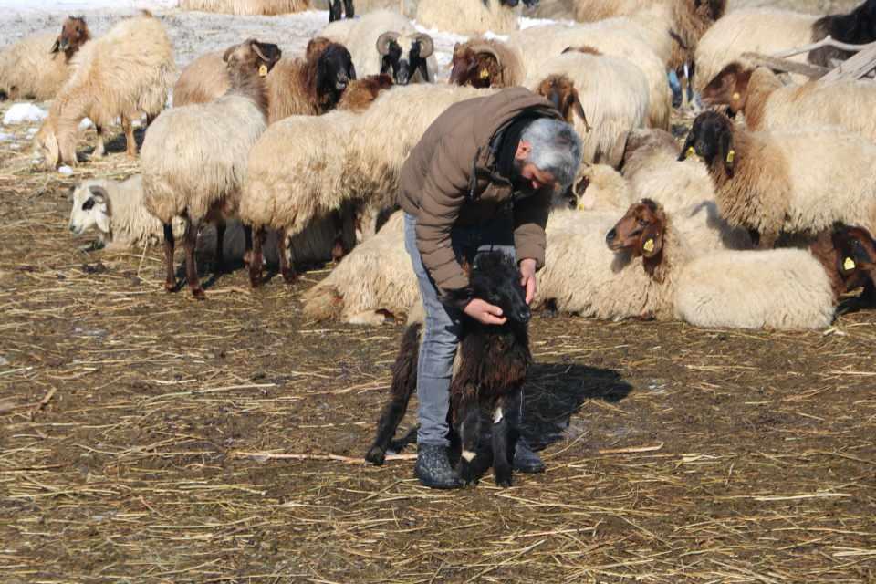 <p><strong>GIDA ZEHİRLENMESİ ŞÜPHESİ </strong><br />
<br />
İlçede görevli Veteriner Hekim Ercan Tekin, ilçede son bir aydır hayvan ölümlerinin ciddi bir rakama ulaştığını söyledi. </p>