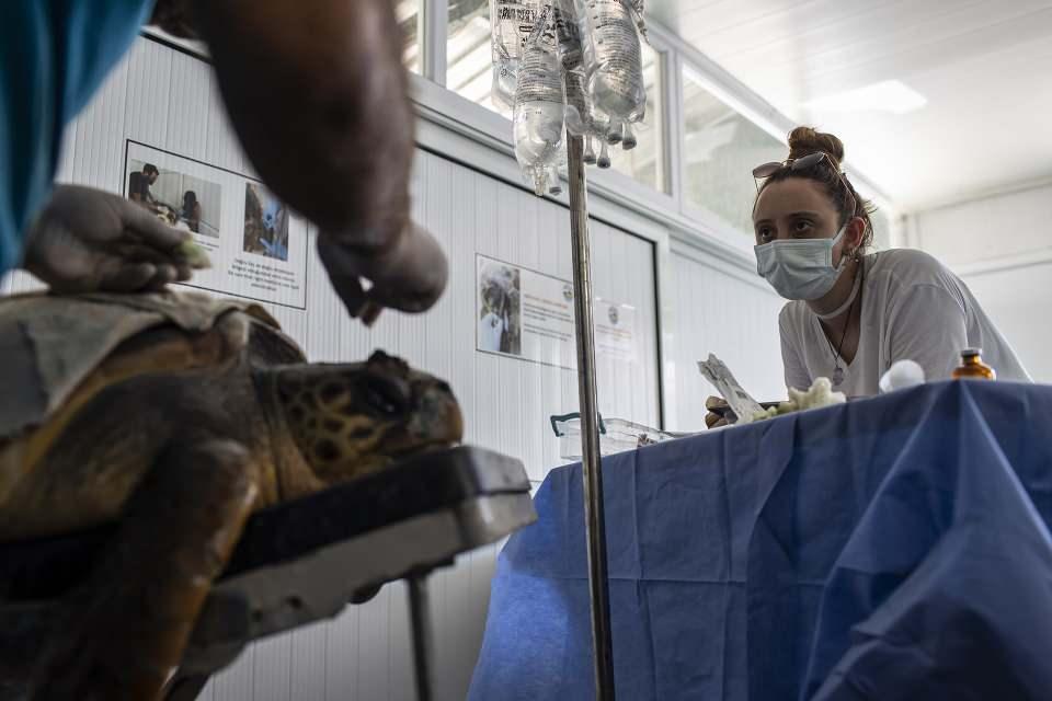 <p>Kaska, balıkçıların oltalarını "J" şeklinde kullandıklarını ve bunların deniz kaplumbağalarının ağzına daha kolay takıldığını anlatarak, bu konuda yaptıkları çalışmada "C" şeklinde ucu biraz daha kıvrık olan olta kullanımını artırmak istediklerini, bunların kaplumbağaların ağzına takılmayacağını söyledi.</p>

<p> </p>
