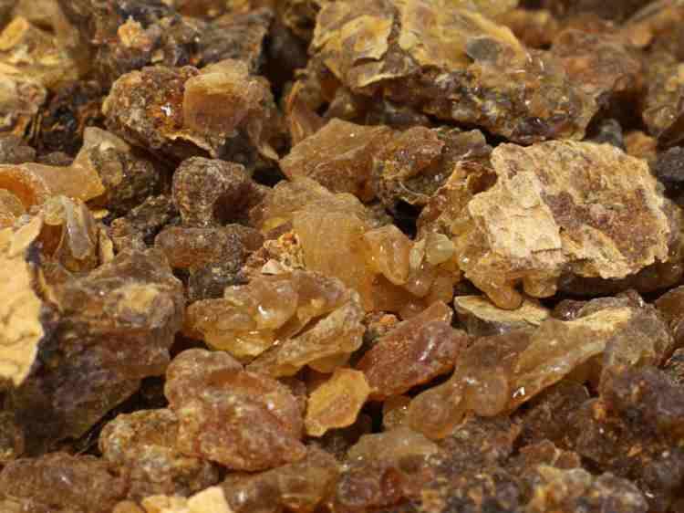 <p><strong>Sindirim sistemini yenileyerek mide ve bağırsakların dhaa iyi çalışmasını sağlar.</strong></p>
<p><strong>Güçlü bir antibiyotik etkisi var. Bu yüzden bir çok ilaçtan daha fayda sağlar. Vücuda normalde antibiyotik ilaçlar böbreklerin çalışma sistemini olumsuz etkiler.</strong> </p>