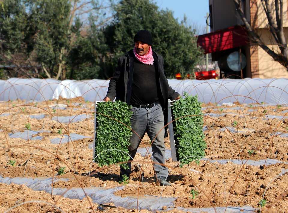 <p> 2 liraya satılırsa eğer maliyet kurtarılacak. Karpuzun kilogram fiyatı 3 liranın üzerinde satılırsa çiftçimiz buradan para kazanacak. </p>
