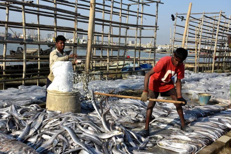 <p>Bangladeş’in Chittagong kentinin Shuti köyünde yaşayan bölge sakinleri, Karnaphuli nehri kıyısında geleneksel yöntemlerle kurutulmuş balık üretimi yaparken görüntülendi.</p>
