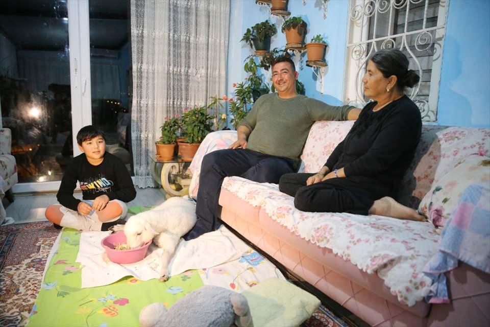 <p>Muğla'nın Bodrum ilçesinde yaşayan Aksın ailesi, sakat doğan ve "Melek" adını verdikleri kuzuya 11 aydır evin içerisinde adeta bebek gibi bakıp, her ihtiyacını da titizlikle karşılıyor.</p>