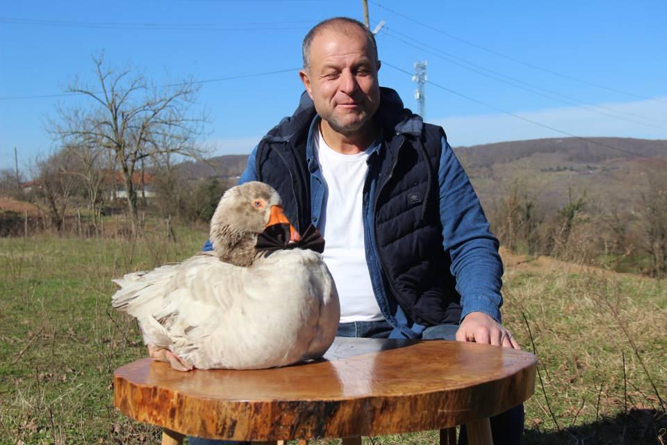 <p>Kocaeli'de 9 yıldır baktığı kazı evlatlarından ayırmayan Yılmaz Evcenler, şehir şehir onunla seyahate çıkıyor. Boynuna takılan kırmızı papyonu ile minibüsün ön koltuğunda seyahat eden 'Cango' isimli kaz, gittiği her yerde sevgiyle karşılanıyor.</p>
