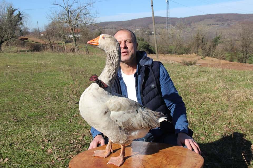 <p><strong>"Bu papyonlu kaz"</strong><br />
<br />
Kanatlı hayvanı herkesin eğitemediğini ifade eden Evcenler, "Cango diye seslenince hemen yanıma gelir, sabahları beni kapıda karşılar. Kapı sesini duyunca hemen ötmeye başlar, şarkı söyler. Beraber hayvanları otlatmaya çıkarız. </p>
